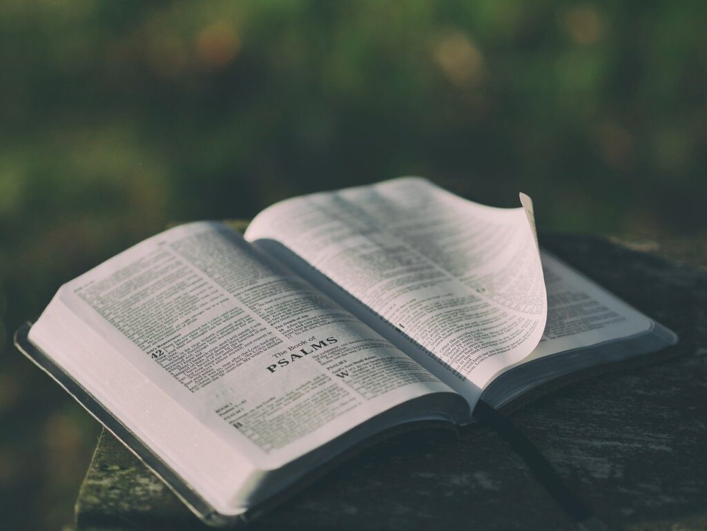 A Bible sitting on a tree stump, open to Psalms. The corner of the right page is lifted up by the wind. The background is blurred but is most likely green foliage. 
Image by Pexels from Pixabay 