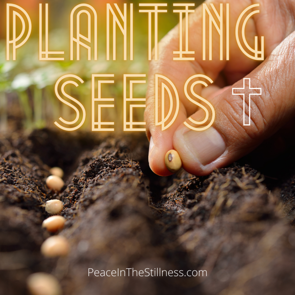 A close-up of a hand planting seeds in a row as an analogy of how we, as Christians plant seeds when we share the gospel.