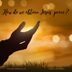 A pair of open hands, viewed from the side as a silhouette, open to the Heavens in prayer against a golden sky background. The question, How do we obtain Jesus' peace? in at the top of the photo and the links PeaceInTheStillness.com Linktr.ee/BeedaSpeis are across the bottom of the photo.
Photo by Beeda Speis created for Peace In The Stillness blog.