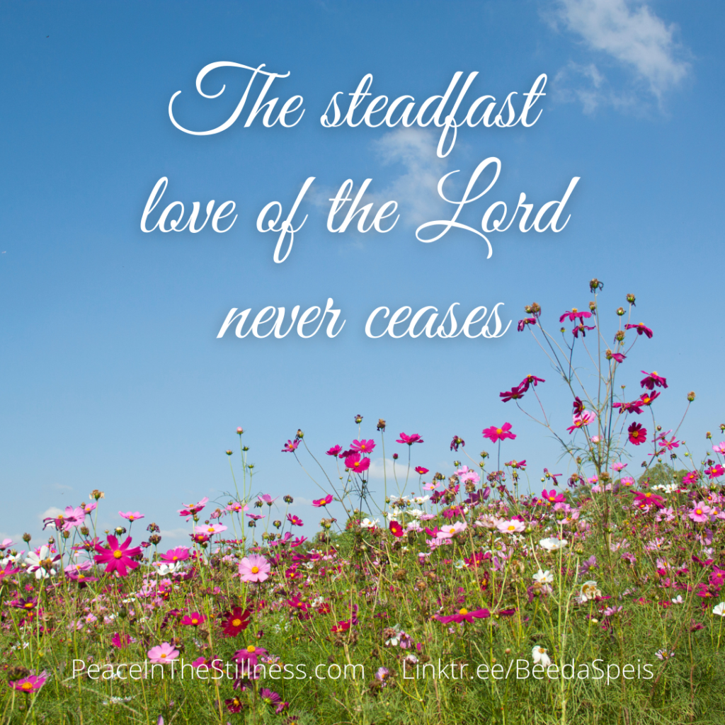 A photo of light and dark pink field flowers against a perfect blue sky. The words, "The steadfast love of the Lord never ceases." These words remind me that He Is All I Need. He is constant, never changing, always loving.
by Beeda Speis for Peace In The Stillness blog.