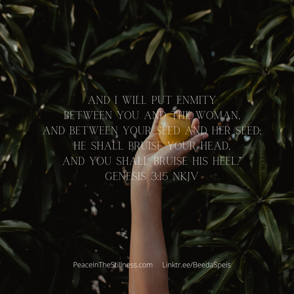 A female arm extended up, holding a yellow apple against a background of green leaves. The words from Genesis 3:15 (NKJV) are written out, "And I will put enmity
Between you and the woman,
And between your seed and her Seed;
He shall bruise your head,
And you shall bruise His heel.”
by Beeda Speis for Peace In The Stillness blog