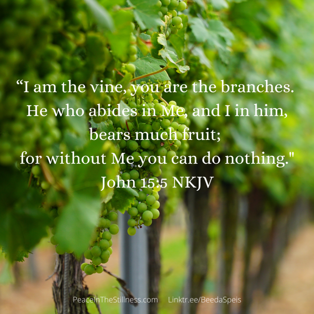 A grape vineyard with the words, "I am the vine, you are the branches. He who abides in Me, and I in him, bears much fruit; for without Me you can do nothing." John 15:5 NKJV
by Beeda Speis for Peace In The Stillness blog