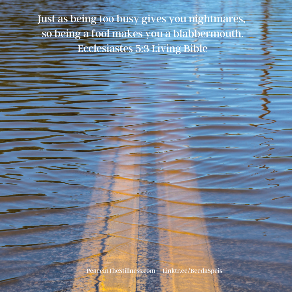 A photo of a flooded street. Last night I dreamed of a flood. The words of Ecclesiastes 5:3 Living Bible, "Just as being too busy gives you nightmares, so being a fool makes you a blabbermouth."
by Beeda Speis for Peace in the Stillness