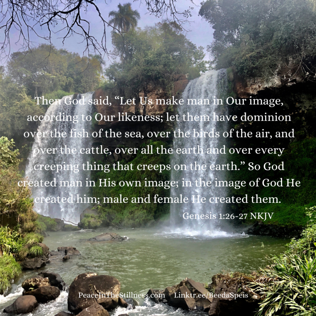 Image of 2 waterfalls with the words from Genesis 1:26-27 NKJV, "Then God said, “Let Us make man in Our image, according to Our likeness; let them have dominion over the fish of the sea, over the birds of the air, and over the cattle, over all the earth and over every creeping thing that creeps on the earth.” So God created man in His own image; in the image of God He created him; male and female He created them."
by Beeda Speis for Peace In the Stillness