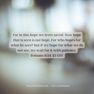 A blurred background depicting the unseen. In response to the question, Where is your hope? is the answer found in Romans 8:24-25 ESV, "For in this hope we were saved. Now hope that is seen is not hope. For who hopes for what he sees? But if we hope for what we do not see, we wait for it with patience."
by Beeda Speis for Peace in the Stillness blog