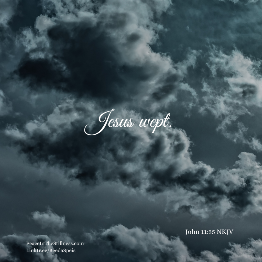Dark, stormy clouds with the words, "Jesus wept." (John 11:35 NKJV) by Beeda Speis for Peace in the Stillness