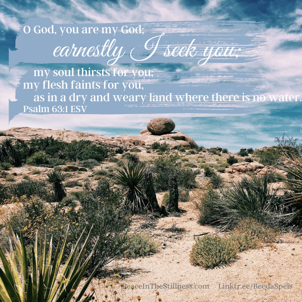 A picture of a desert with rocks and greenery. The words to Psalm 63:1 ESV, "O God, you are my God; earnestly I seek you; my soul thirsts for you; my flesh faints for you, as in a dry and weary land where there is no water."
by Beeda Speis for Peace in the Stillness