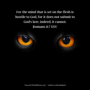 A black image with only two orange cat eyes glaring out. The words to Romans 8:7 ESV, "For the mind that is set on the flesh is hostile to God, for it does not submit to God's law; indeed, it cannot." The verse shows us that the unsaved are rebelling against God, against being under His authority.
by Beeda Speis for Peace in the Stillness
