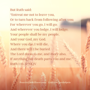 A wheat field with a peach colored filter. The words from Ruth 1:16-17, NKJV, "But Ruth said:
“Entreat me not to leave you,
Or to turn back from following after you;
For wherever you go, I will go;
And wherever you lodge, I will lodge;
Your people shall be my people,
And your God, my God.
Where you die, I will die,
And there will I be buried.
The Lord do so to me, and more also,
If anything but death parts you and me.”
by Beeda Speis for Peace in the Stillness