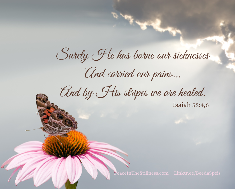 A buttlerfly sitting on a pink daisy. Above, the sun is shining through a dark cloud. The words to Isaiah 53:4,6, NKJV, "Surely He has borne our sicknesses And carried our pains...And by His stripes we are healed." This week let's pray for those with cancer.